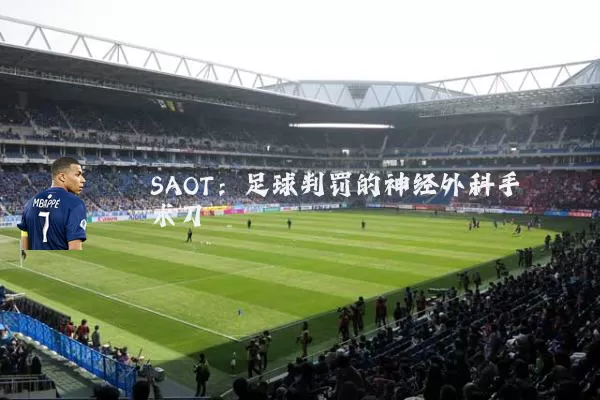 SAOT:足球判罚的神经外科手术刀